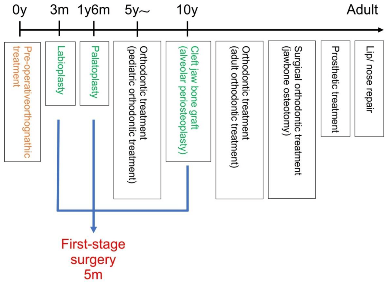 Cleft lip repair cpt code