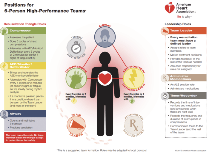 High performance team dynamics cpr