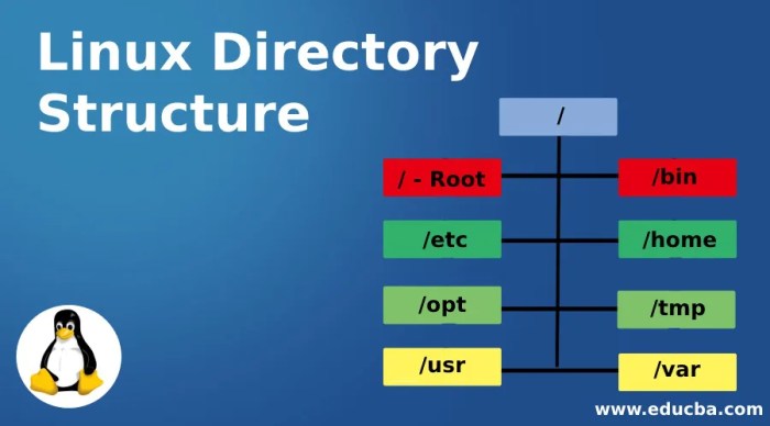 Linux directory root eoan ubuntu continuum ermine