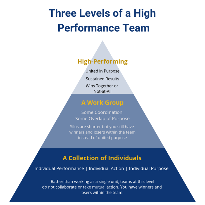 High performance team dynamics cpr