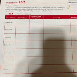 Pre lab exercise 20-2 formed elements