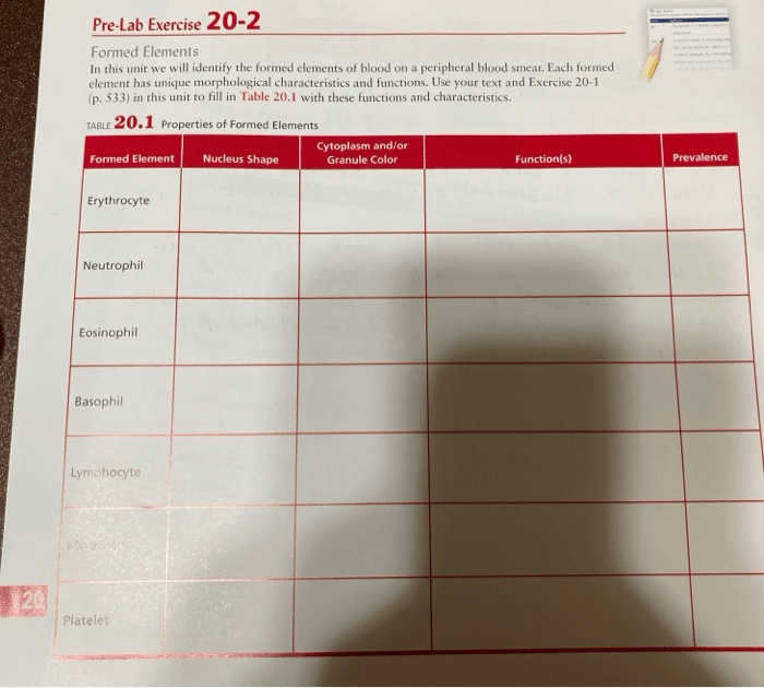 Pre lab exercise 20-2 formed elements