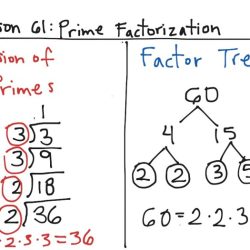 Lesson 1 prime factorization answers