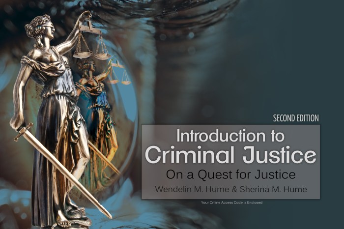 Introduction to criminal justice 16th edition