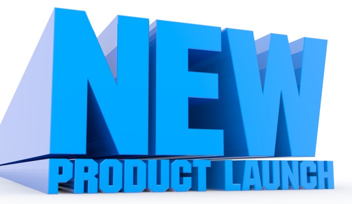 Introducing a new product into the market is called ________.