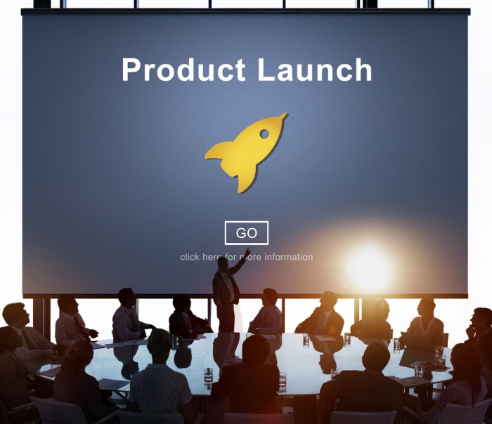 Introducing a new product into the market is called ________.